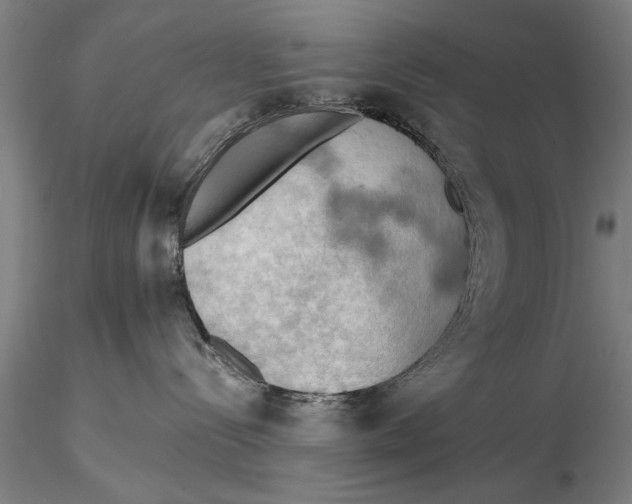 X0000115590288200912011510
