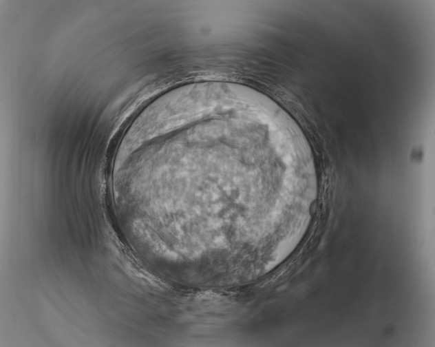 X0000115590290200912011510