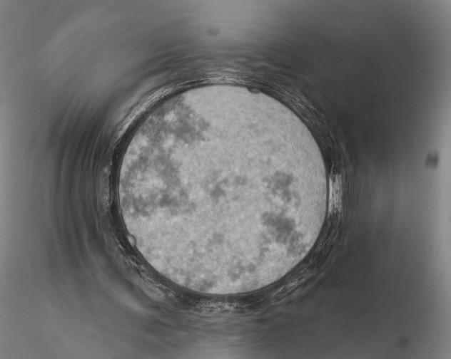X0000115590291200912011510