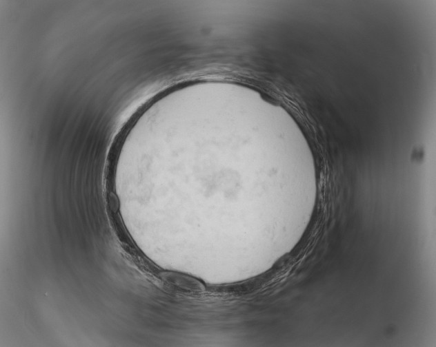 X0000115590292200912011510