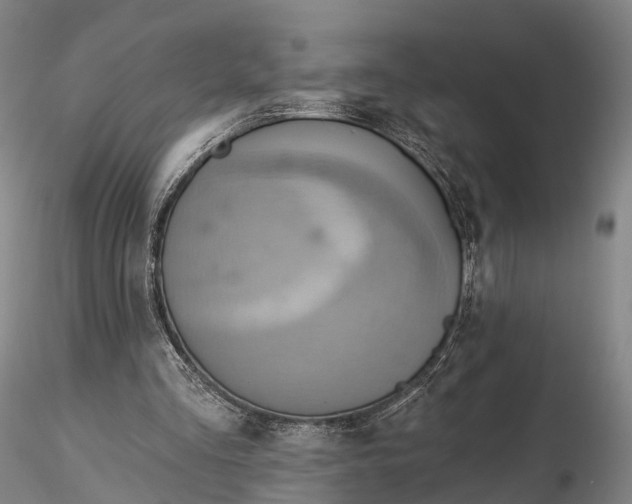 X0000115590293200912011510