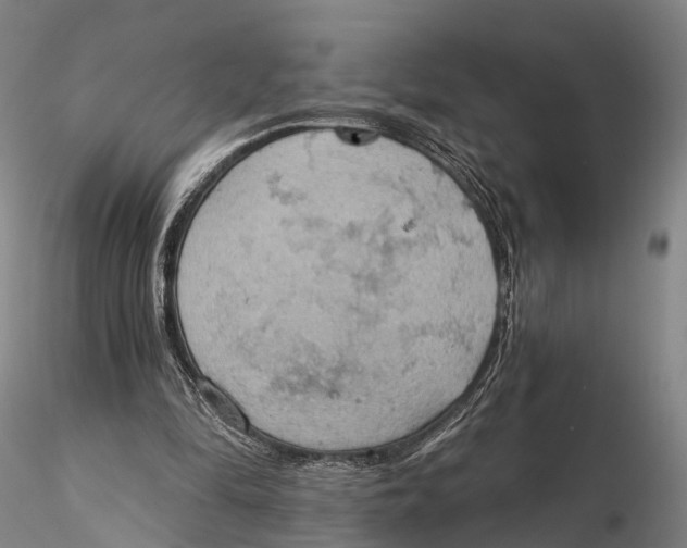 X0000115590294200912011510
