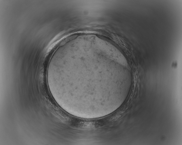 X0000115590295200912011510