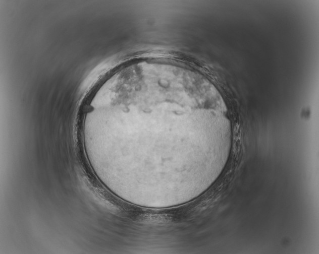 X0000115590296200912011510