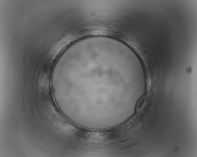 X0000115590297200912011510