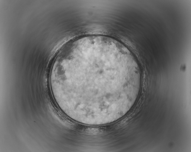 X0000115590298200912011509