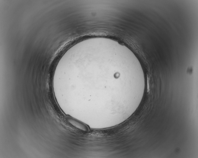X0000115590300200912011509