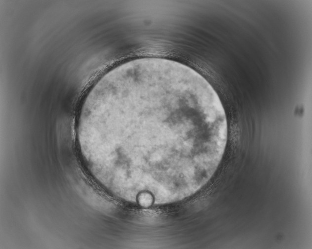 X0000115590302200912011509