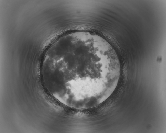 X0000115590303200912011509