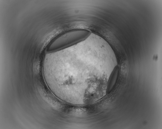 X0000115590304200912011509