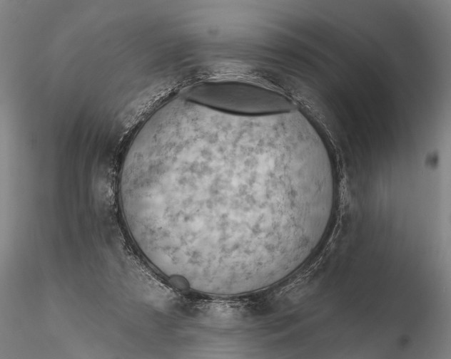 X0000115590305200912011509