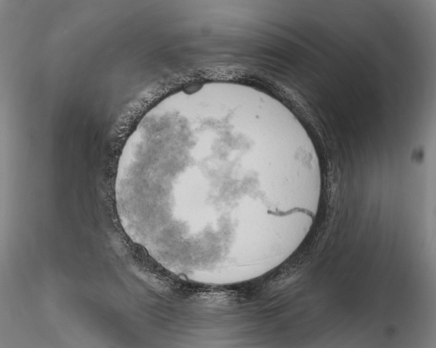 X0000115590307200912011509