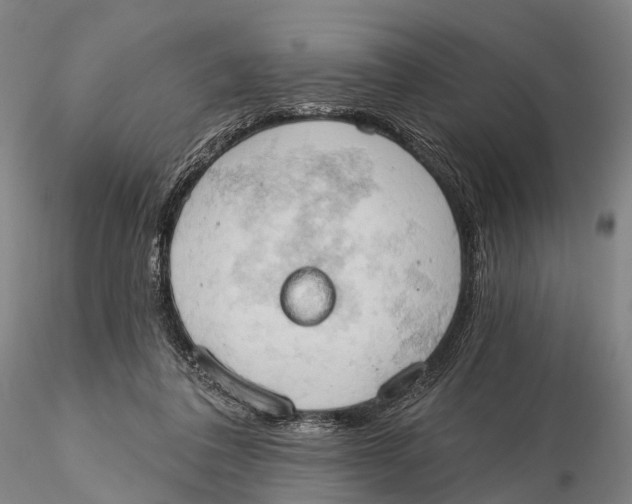 X0000115590308200912011509