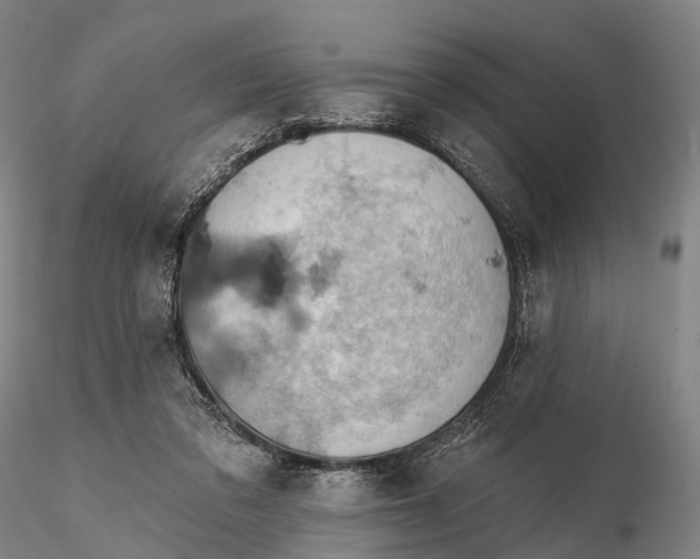 X0000115590309200912011509