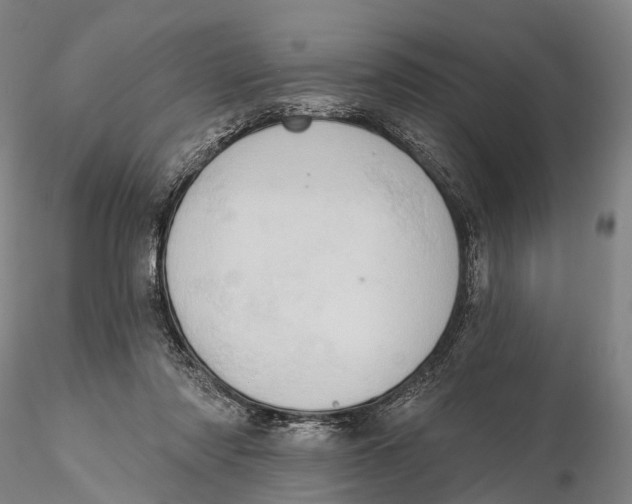 X0000115590310200912011509