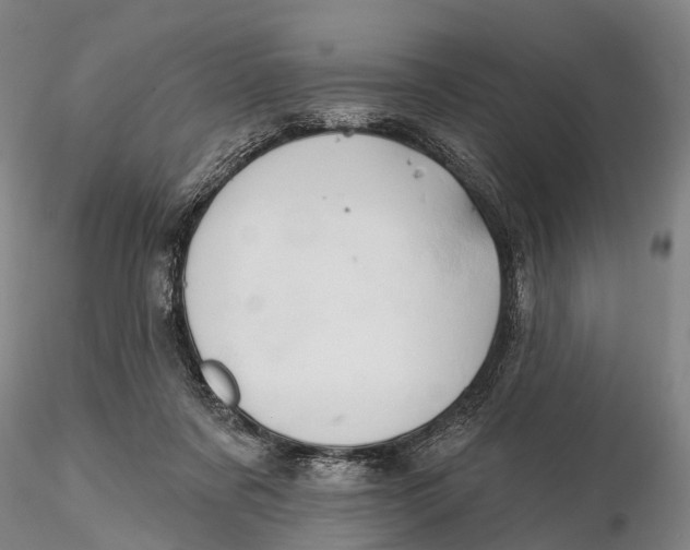 X0000115590311200912011509
