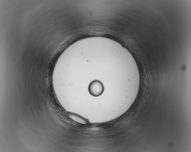 X0000115590312200912011509
