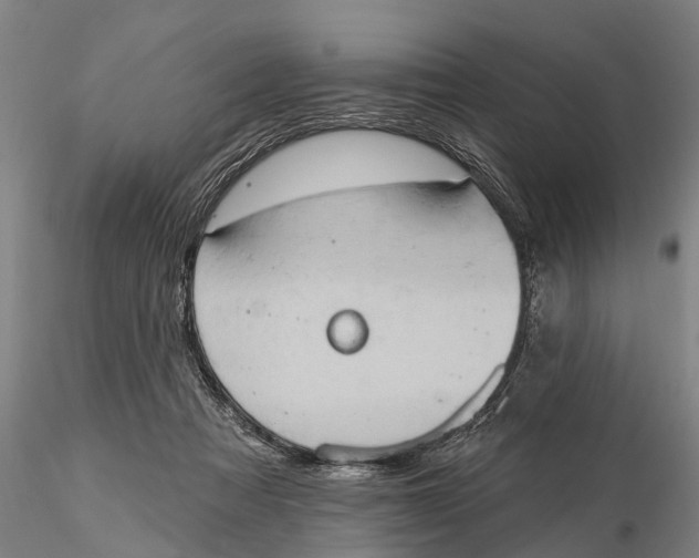 X0000115590313200912011509