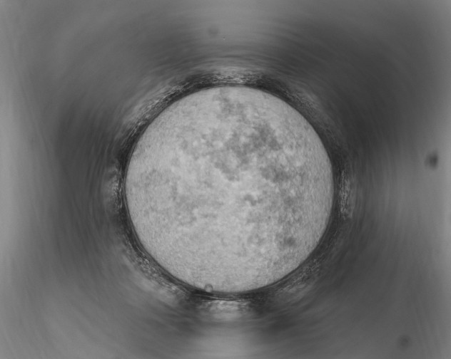 X0000115590314200912011509