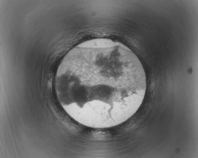 X0000115590315200912011509
