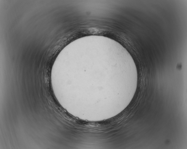 X0000115590317200912011509
