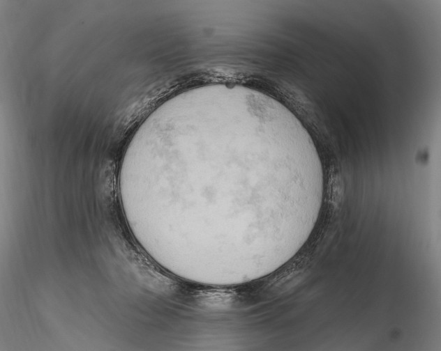 X0000115590318200912011509