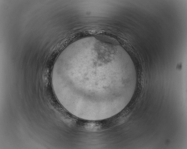 X0000115590319200912011509