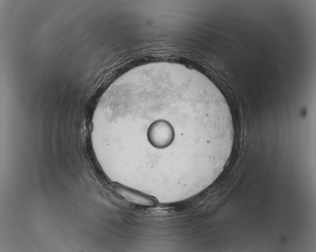 X0000115590320200912011509