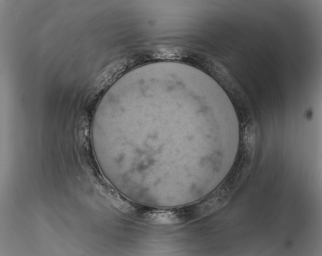 X0000115590322200912011509