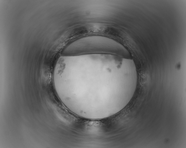 X0000115590324200912011509