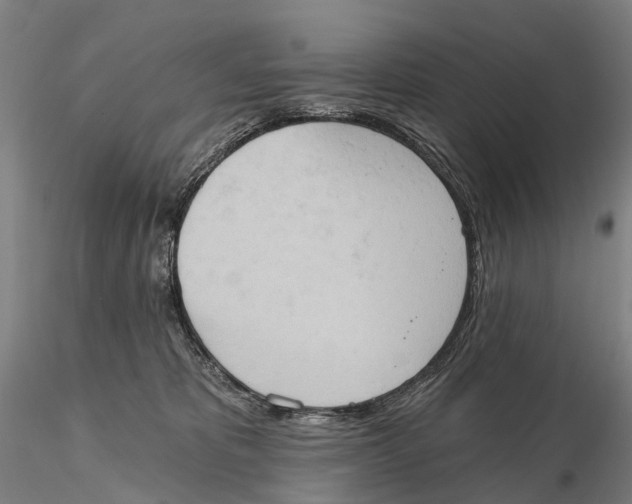 X0000115590325200912011509