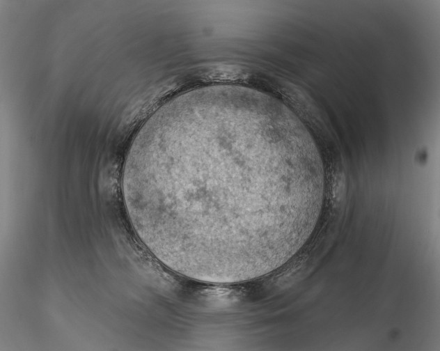 X0000115590326200912011509