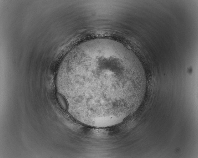 X0000115590327200912011509