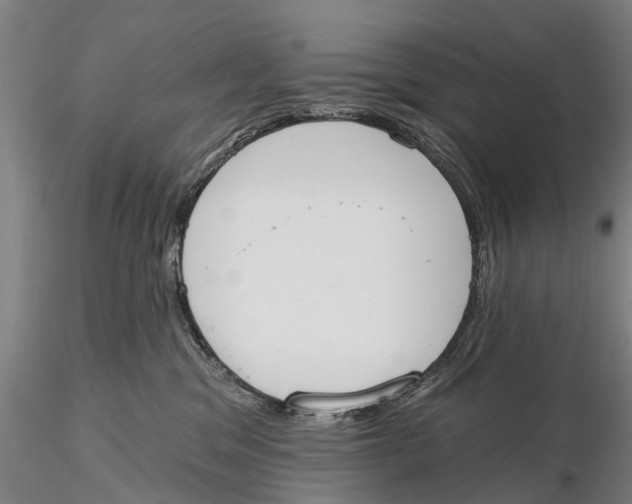 X0000115590329200912011509