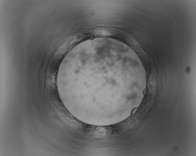 X0000115590330200912011509