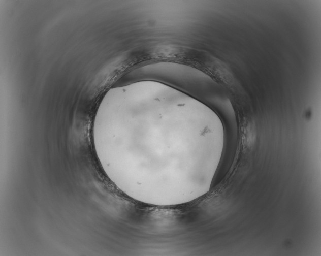 X0000115590332200912011509