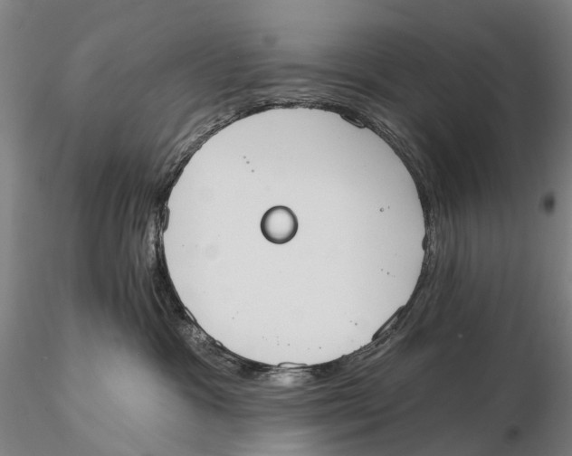 X0000115590333200912011509