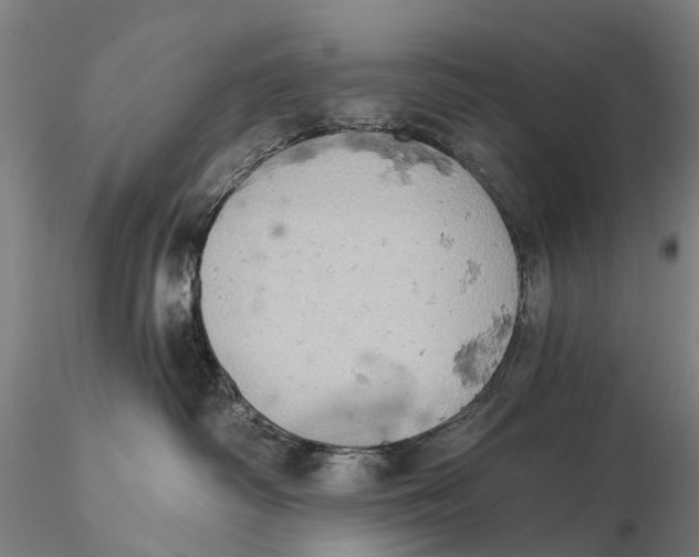 X0000115590334200912011509