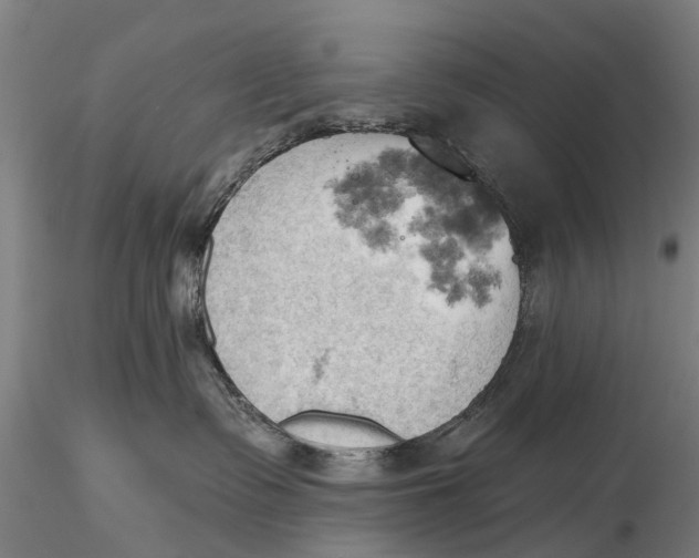 X0000115590335200912011509
