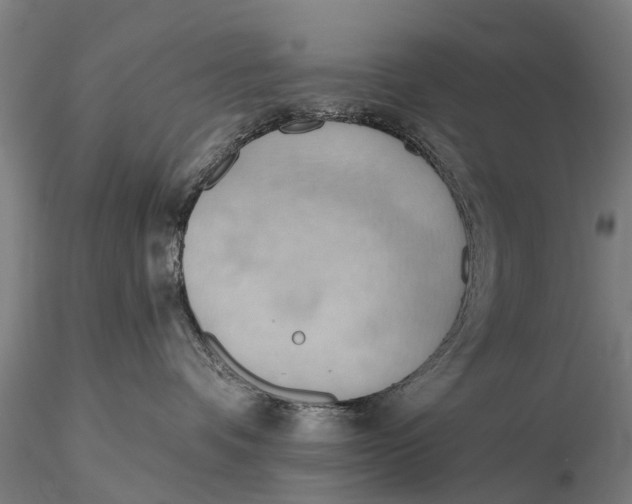 X0000115590336200912011509