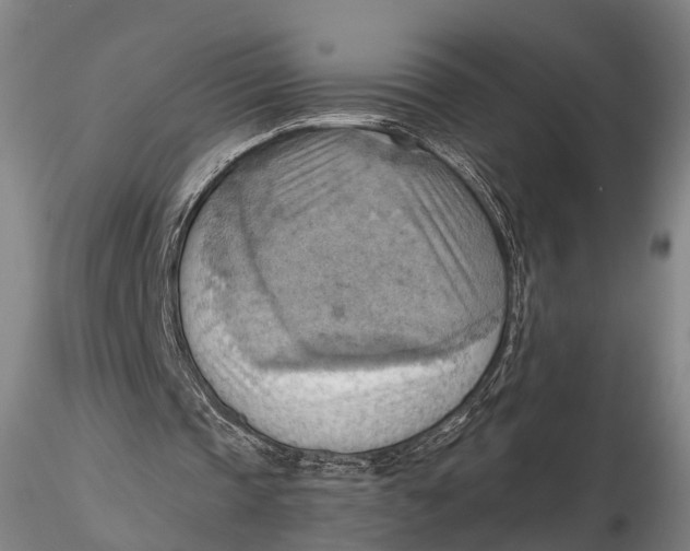X0000115590337200912011508