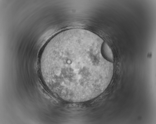 X0000115590338200912011508