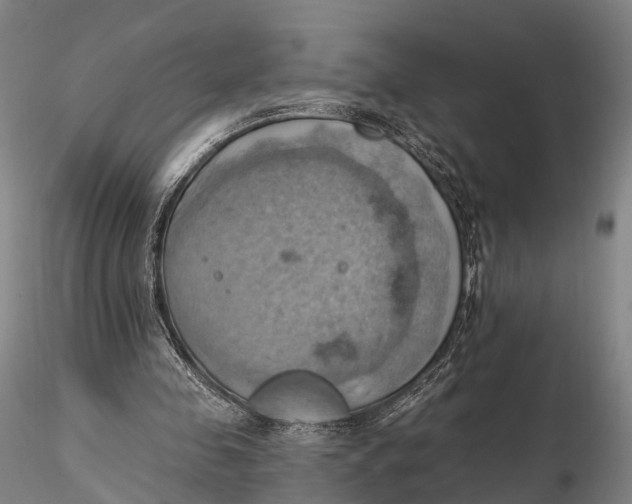 X0000115590341200912011508