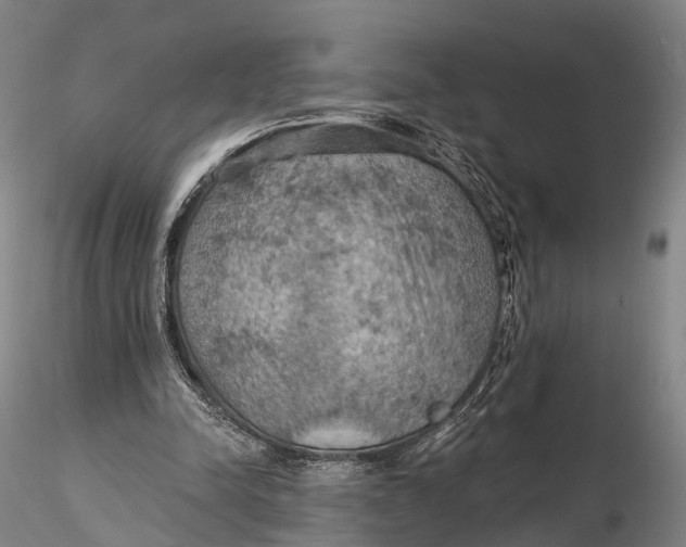 X0000115590342200912011508