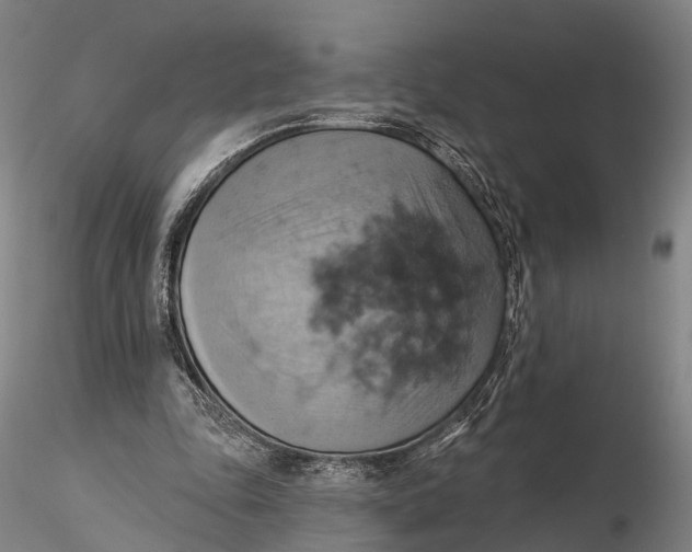 X0000115590343200912011508