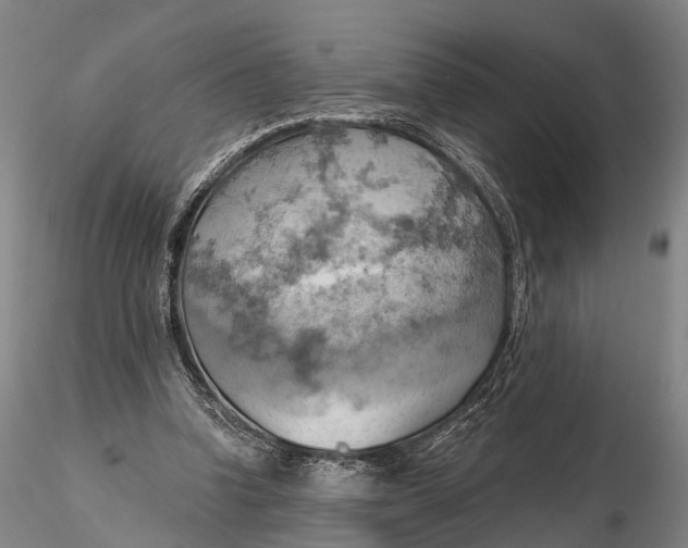 X0000115590346200912011508