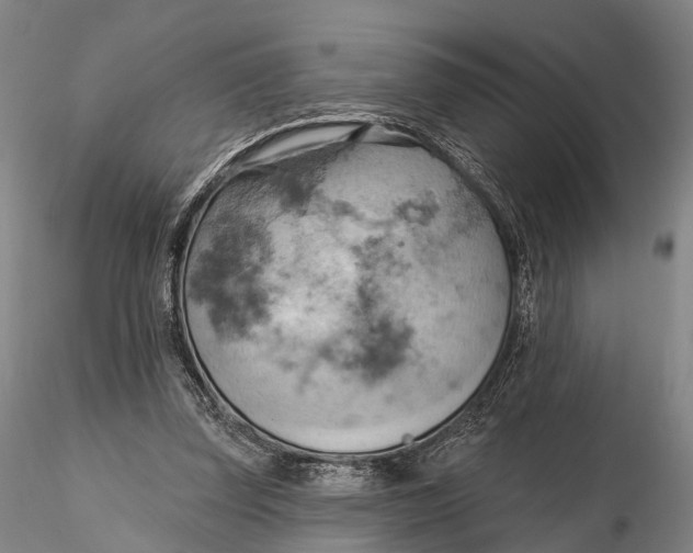 X0000115590347200912011508