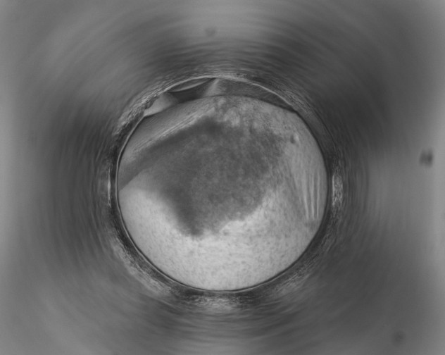 X0000115590349200912011508