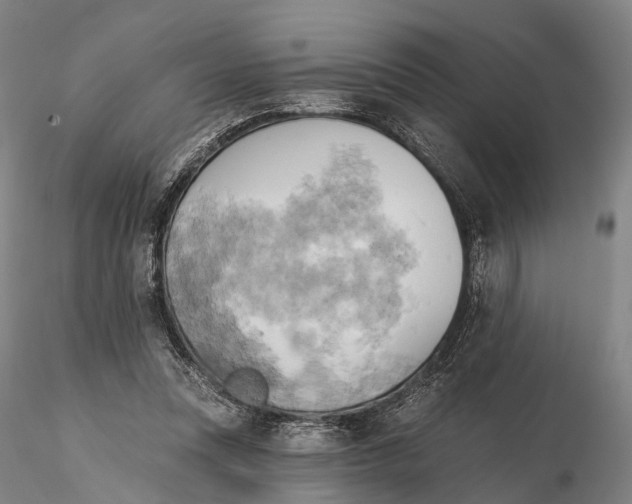 X0000115590351200912011508