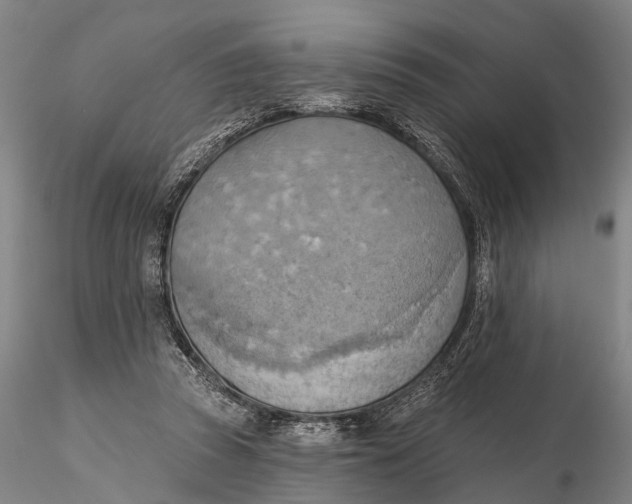 X0000115590353200912011508